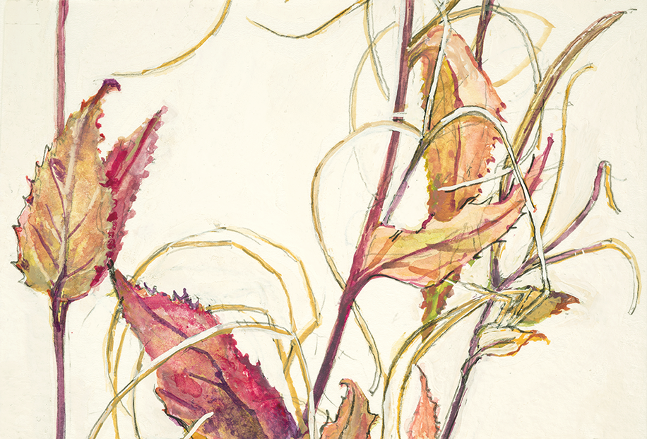 Suszie Vignoles artist Illustrator, Richmond