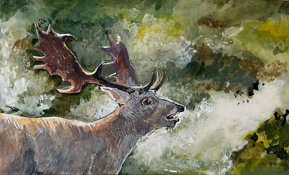 Suszie Vignoles deer